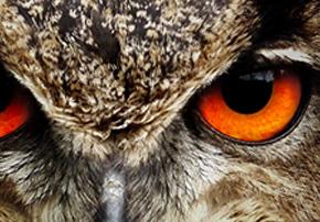 prijava podatkov v davčni register